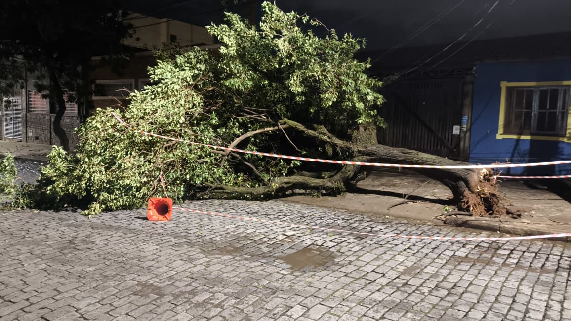 Foto 37 de 67 — TEMPORAL EM FOTOS: veja imagens de destruição em Araraquara